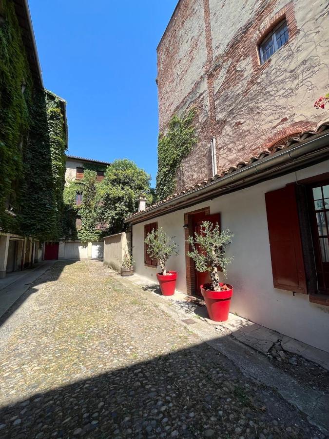 Appartamento Petite Chartreuse Calme En Plein Coeur De Tolosa Esterno foto